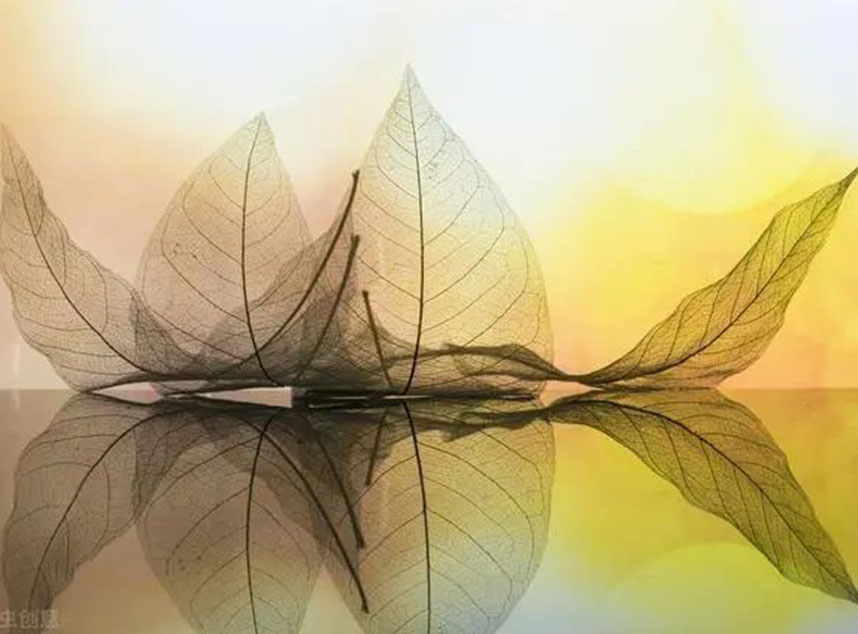 玻纖板廠家，防靜電玻纖板，F(xiàn)R4玻纖板，環(huán)氧板，諾方斯復(fù)合材料，