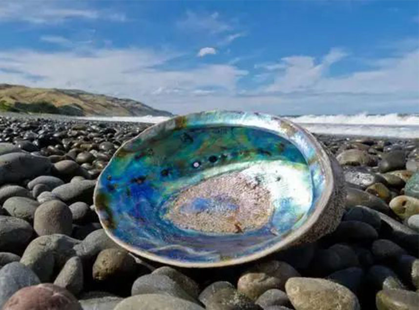 合成石廠家，電木板廠家，玻纖板廠家，隔熱板廠家，復(fù)合材料廠就，諾方斯